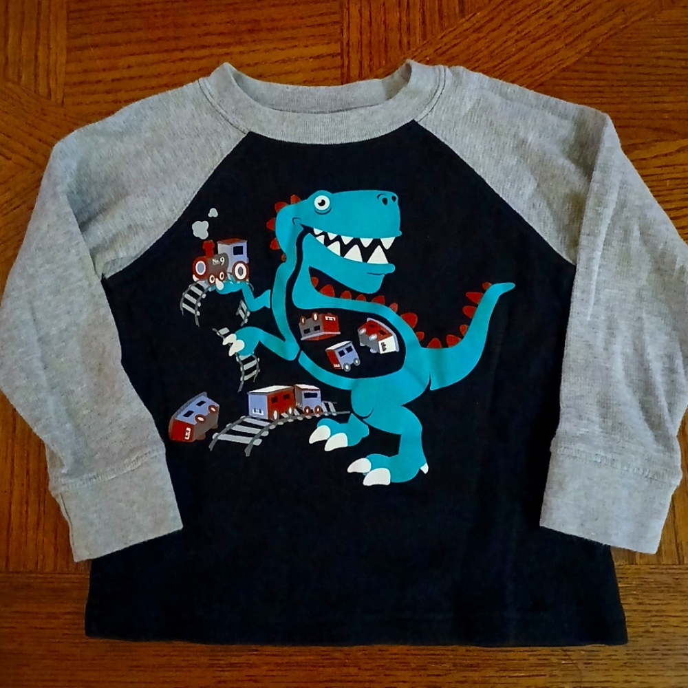 Toughskins 3T Dinosaur Train Long Sleeve Shirt - Black and Gray